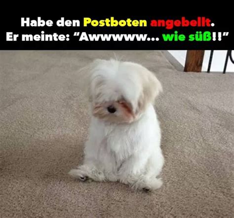 zuletztgelacht .